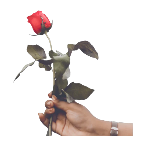 Květinová vazba